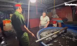 Kinh hoàng đường dây 'phù phép' 3.000 tấn thịt ốc bằng hóa chất công nghiệp