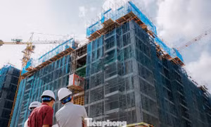 Hơn 20% công nhân, lao động ở Hải Phòng có nhu cầu về nhà ở xã hội