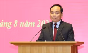 Chân dung tân Bí thư Thành ủy TPHCM Trần Lưu Quang