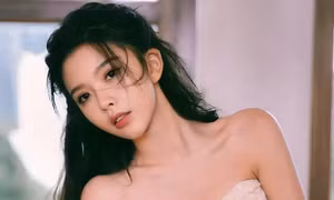 Công bố hai diễn viên trốn thuế