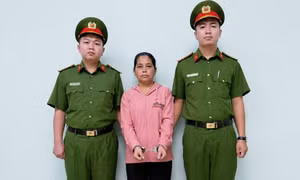 Công an TPHCM bắt khẩn cấp bảo mẫu bạo hành trẻ tại cơ sở mầm non