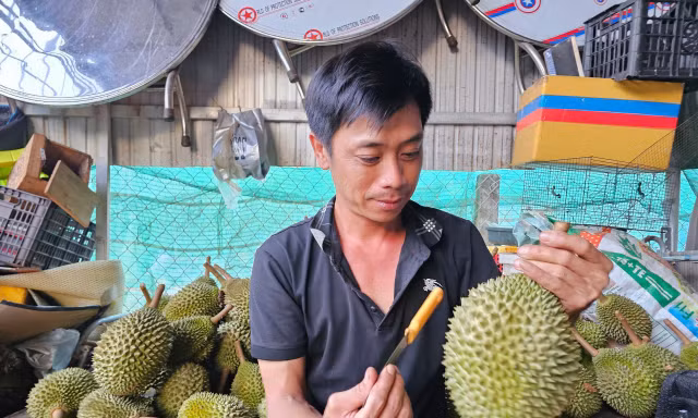 ‘Vua' của các loại sầu riêng bị chê, rớt giá thảm