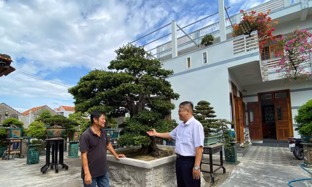 Gặp ông chủ khu vườn tiền tỷ, bán 1 cây xây nhà lầu ở Đắk Lắk