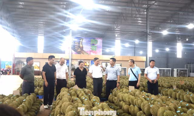 Doanh nghiệp Trung Quốc nói gì về chất lượng sầu riêng Việt Nam?