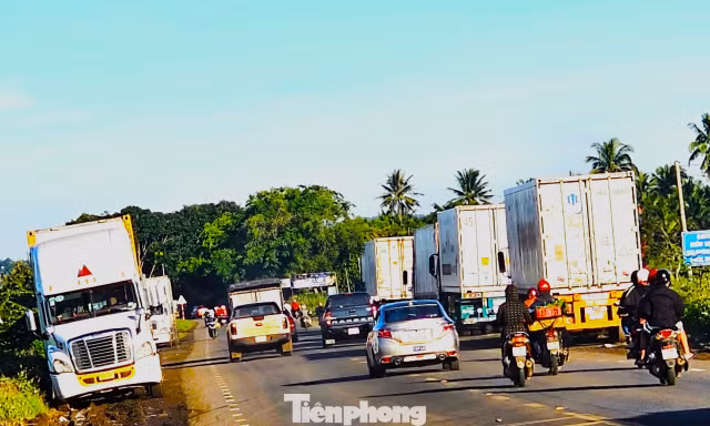 Xe container rồng rắn đi thu mua sầu riêng