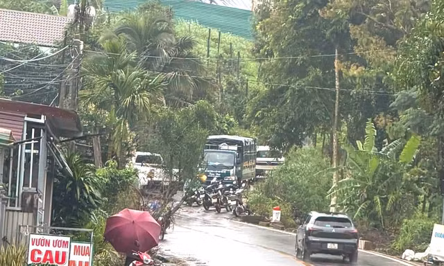 Nữ nhân viên thư viện mất liên lạc sau buổi liên hoan: Phát hiện thi thể ở rẫy cà phê