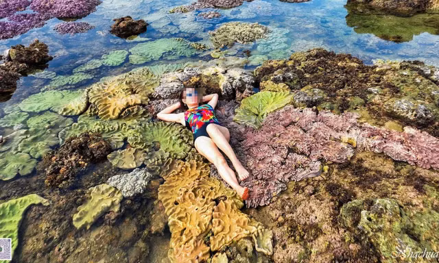 Thực hư việc du khách nằm, ngồi lên san hô để chụp ảnh