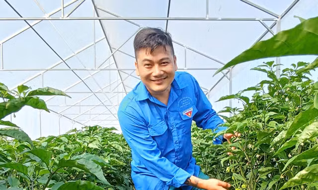 Những thanh niên 'nhóm lửa' khởi nghiệp giữa làng quê