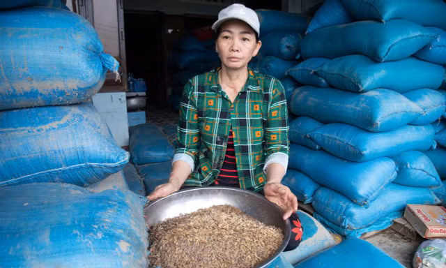 Trắng tay sau lũ lịch sử, người dân Đắk Lắk khôi phục sản xuất, ổn định cuộc sống như nào?