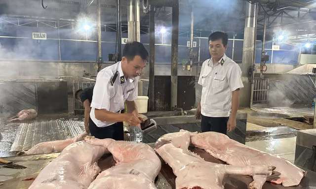 Đột xuất kiểm tra cơ sở giết mổ lợn trong đêm ở Đắk Lắk