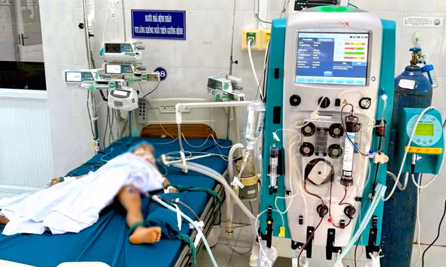 Một trẻ tử vong, hai trẻ cấp cứu vì ong vò vẽ đốt khi đang chơi trong sân
