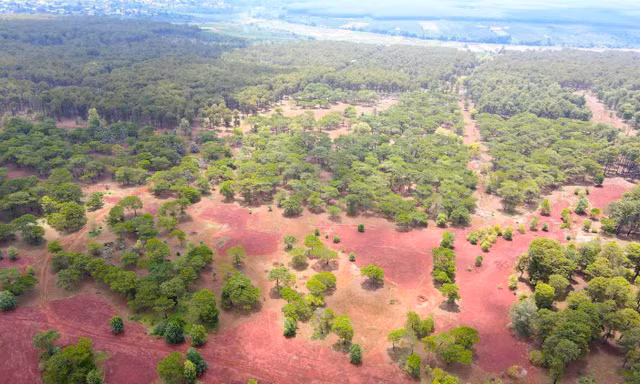 Gia Lai rất thiếu tổ hợp nghỉ dưỡng quy mô, hệ thống khách sạn cao cấp