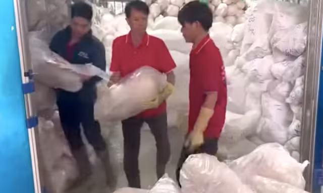 Phát hiện 100 tấn thịt heo không rõ nguồn gốc đã bốc mùi 