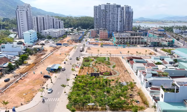 Phú Gia với ‘Hành trình gieo bóng mát’ vùng biển Quy Nhơn