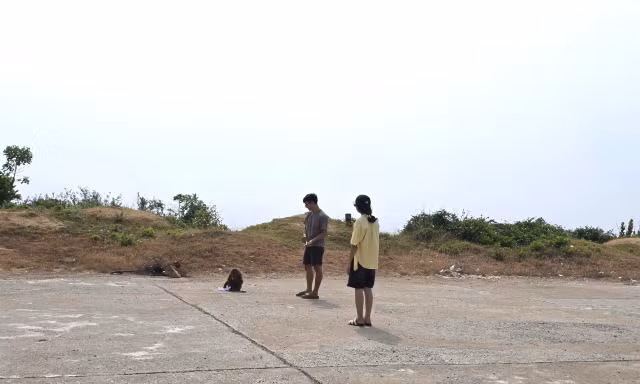 Bị khỉ hoang tấn công, 5 du khách nhập viện