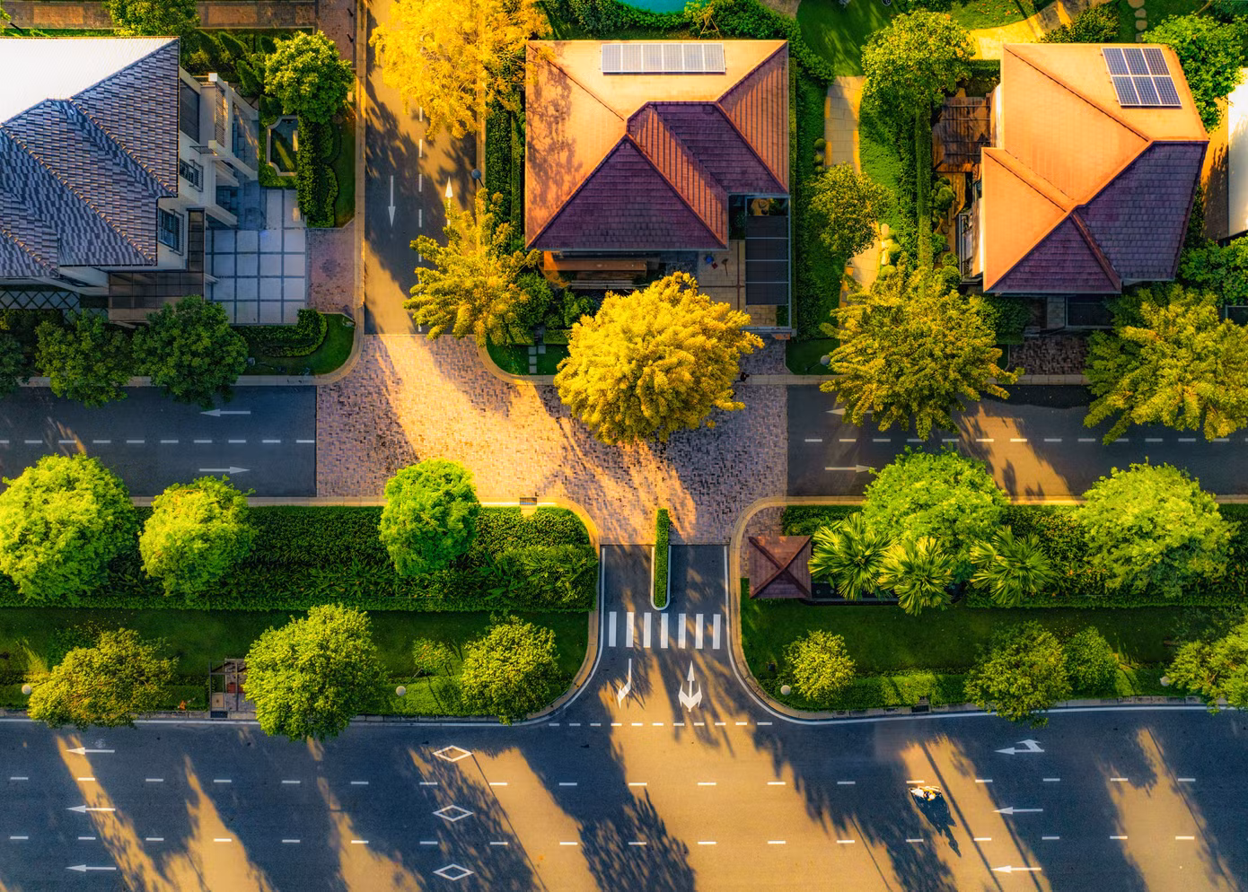 222.jpg