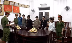 Bắt tạm giam 6 người Việt tiếp tay cho đường dây lừa đảo tại Campuchia
