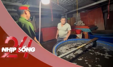 NHỊP SỐNG 24: Bên trong đường dây dùng 500 tấn 'thủy tinh lỏng' ngâm 3.000 tấn thịt ốc bươu