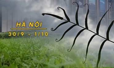  Hà Nội kéo dài mưa gián đoạn, giảm dần tới đầu tháng 10