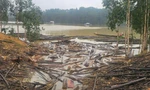 Hàng chục tấn gỗ, củi theo lũ dồn về hồ thủy điện tại Huế