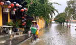 Ngôi nhà cổ ở số 23 Tiểu La - trung tâm phố cổ Hội An xuống cấp trầm trọng, nguy cơ đổ sụp Ảnh Hoài Văn 