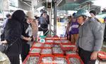 Ngư dân miền Trung trúng 'lộc' mực nháy dịp áp Tết