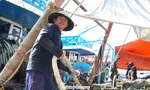 Cảng cá lớn nhất miền Trung nhộn nhịp chuyến biển ngày áp Tết