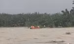 Cứu người dân mắc kẹt giữa dòng lũ dữ trên sông Trà Khúc