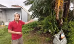 Vụ lô đất có sổ đỏ 18 năm nhưng 'không có trên thực địa': Tỉnh Quảng Ngãi yêu cầu xã giải quyết dứt điểm