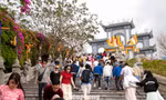Lên chùa Linh Ứng dâng hương ngày mùng 1 Tết