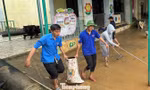 Hơn 1.500 tình nguyện viên 'tiếp sức' người dân Đà Nẵng sau lũ