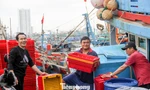 Chuyến biển xuyên năm, ngư dân mong cá tôm đầy khoang