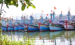 Gia Lai siết chặt quản lý tàu cá, quyết gỡ ‘thẻ vàng’