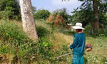 Phường phản ứng tức thì sau phản ánh di tích nghìn năm trong cảnh hoang phế