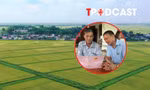 Đất sau 'dồn điền đổi thửa' sẽ được cấp sổ đỏ như thế nào?