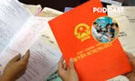 Bỏ cọc đấu giá đất có thể bị cấm hoạt động đến 5 năm