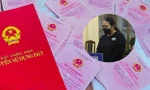 Đấu giá 11 lô đất của 'nữ quái' lừa đảo bán đất ảo ở Đà Nẵng
