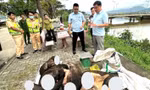 Phát hiện xe khách chở nhiều bao tải chứa thịt nghi động vật hoang dã