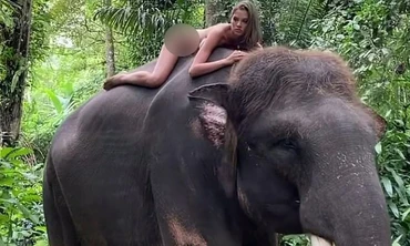 Nữ người mẫu bị chỉ trích vì khỏa thân trên lưng voi