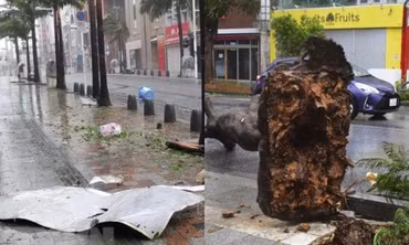 Bão Khanun gây ra gió mạnh dữ dội ở Nhật Bản, có điểm rất giống bão Doksuri