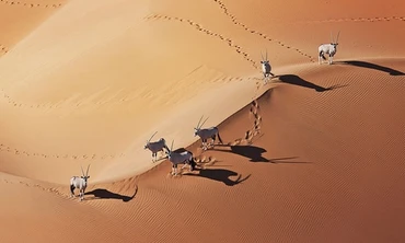 Vẻ đẹp của sa mạc cổ xưa nhất Trái Đất