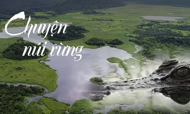 Ớn lạnh bước chân tới đầm lầy cá sấu xiêm trong rừng Nam Cát Tiên