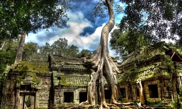 Ngôi đền bị cây nuốt trọn ở Campuchia