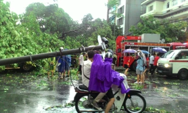 Hiện trường cây bật gốc đè chết người ở Hà Nội