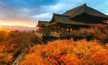 Ngắm mùa thu đẹp hút hồn du khách ở Nhật Bản