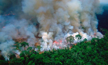 Cháy rừng Amazon ảnh hưởng thế nào tới sức khỏe con người?