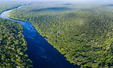Khung cảnh kỳ vĩ của Amazon - rừng nhiệt đới lớn nhất Trái Đất