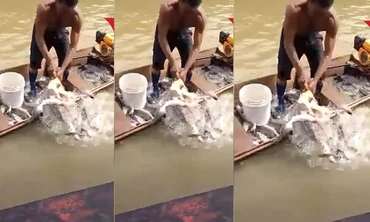 Người đàn ông bắt cá bằng... thủ lợn