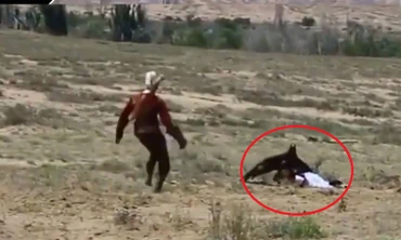 Đại bàng khổng lồ tung xòe móng vuốt tấn công bé gái dữ dội