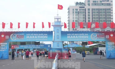 Người dân Phú Yên hào hứng với Tiền Phong Marathon 2024